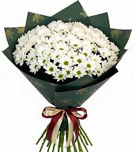 Букет цветов из:  Хризантемы #REPLACE_PRED# Никульское