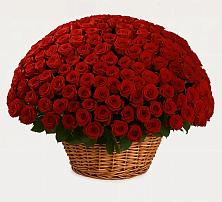 Премиум букет из: Розы в Никульское